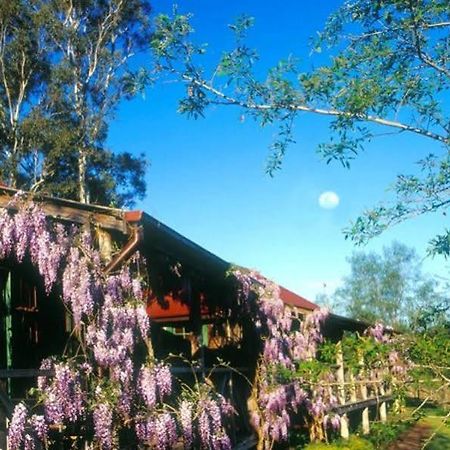 Cedar Creek Cottages Millfield Extérieur photo